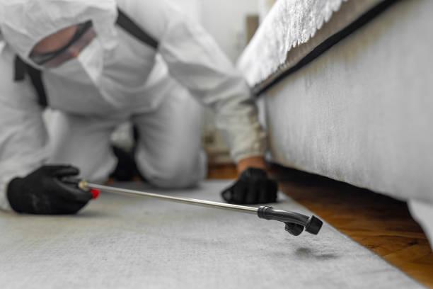 Professional Pest Control technician working in North Beach, MD
